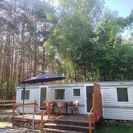 Tinyhaus Idyllisch Am Waldesrand Hotell Cottbus Exteriör bild